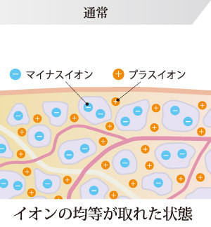 イオンの均等が取れた状態